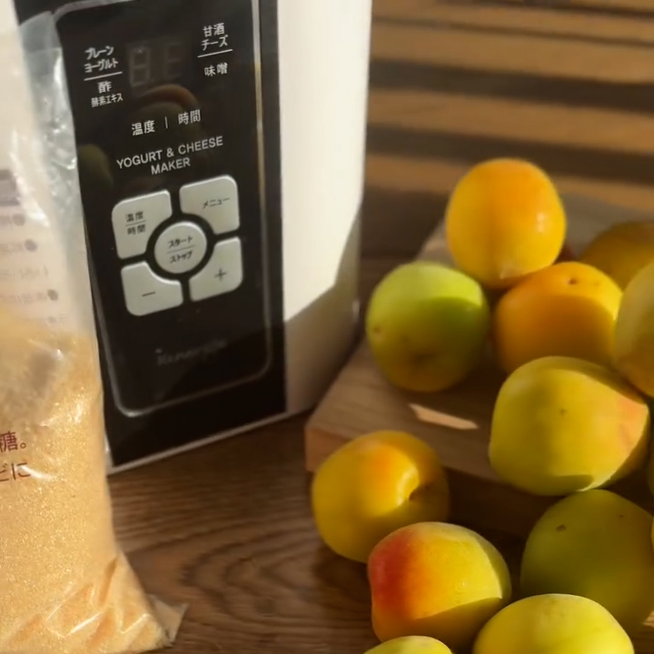 梅シロップ~梅しごと2025~