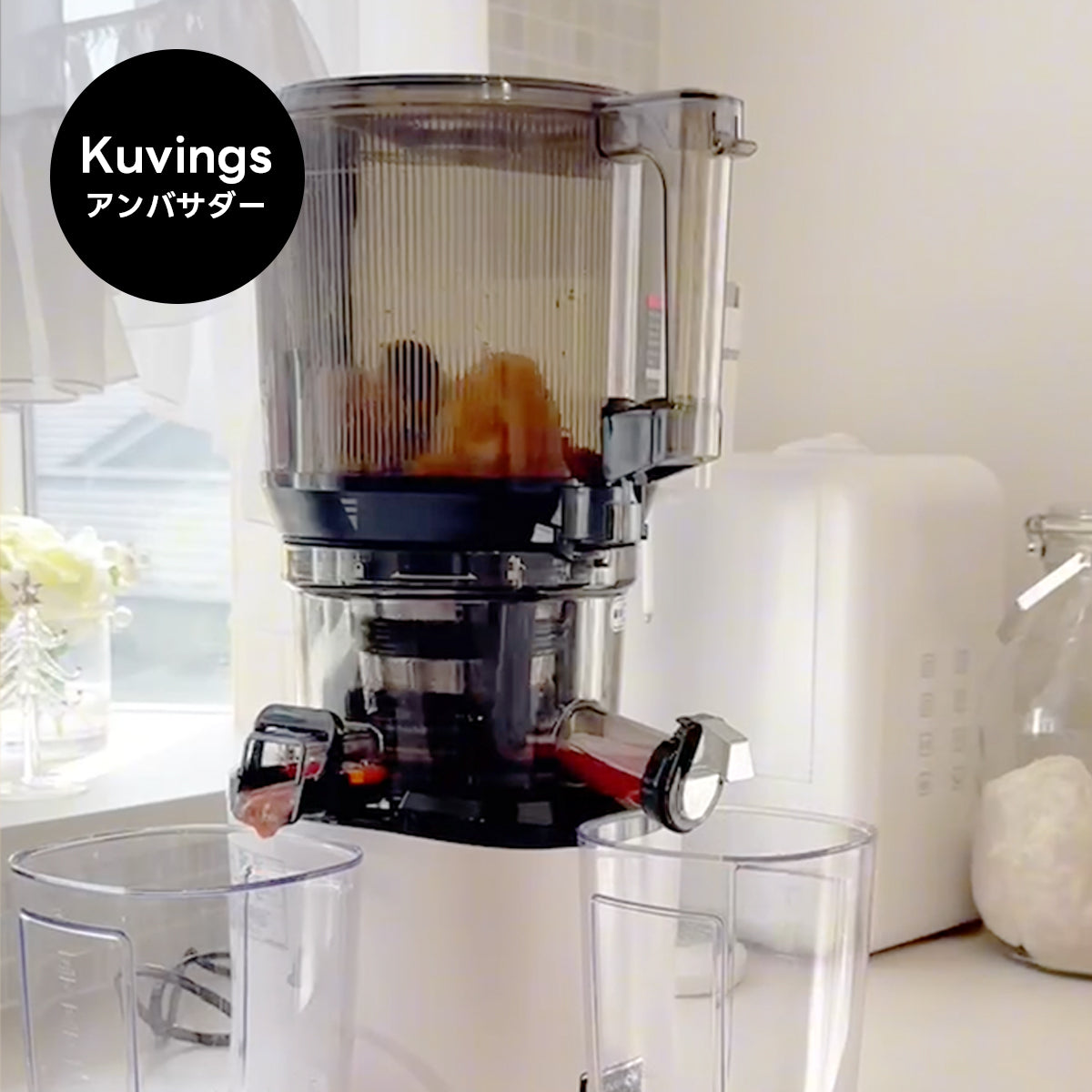 【クビンスアンバサダー】2025年2月