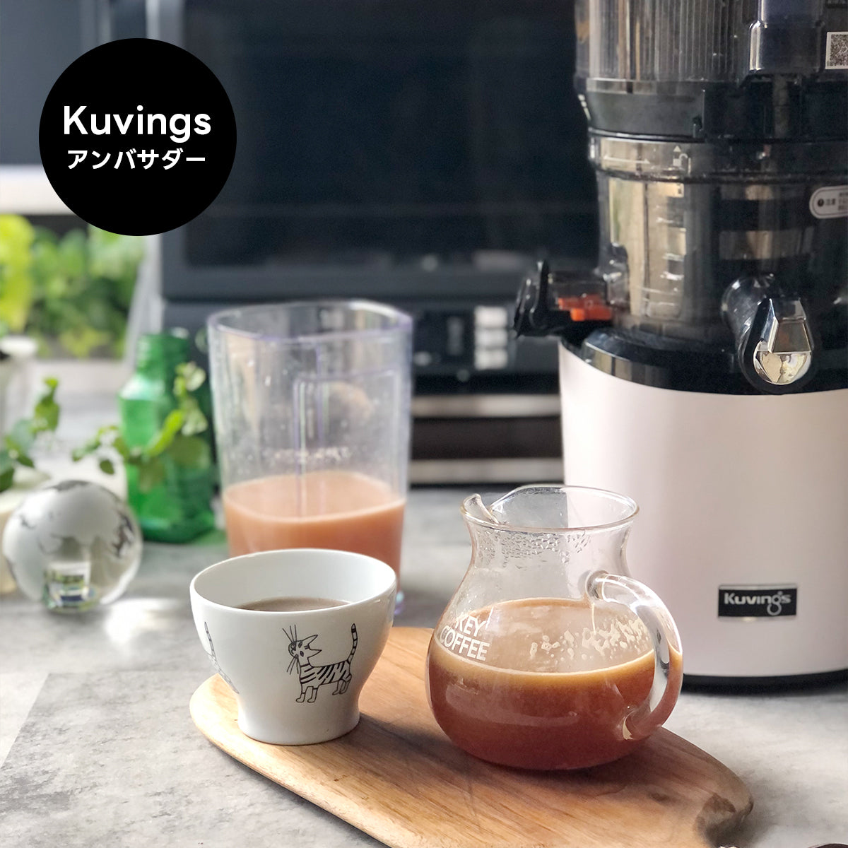 【クビンスアンバサダー】2025年2月