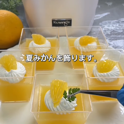 【クビンスアンバサダー】2025年12月