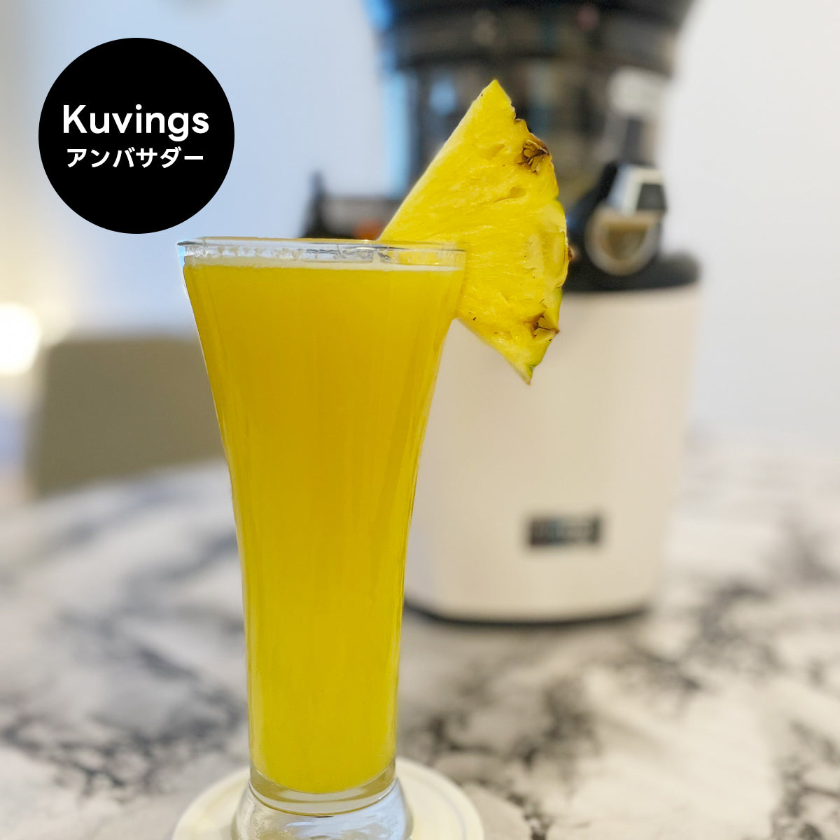 【クビンスアンバサダー】2025年2月