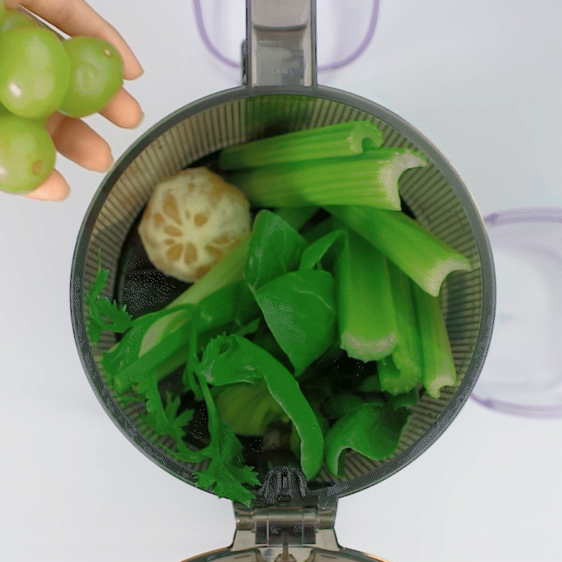 アンアンホールスロージューサー Kivings 果物野菜 楽天市場】【予約 アンアンホールスロージューサー Kivings 果物野菜 楽天市場】【予約